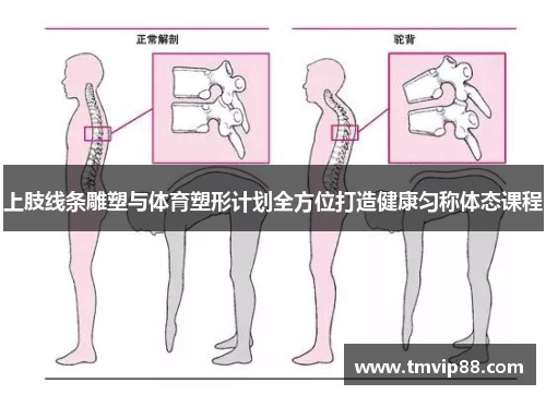 上肢线条雕塑与体育塑形计划全方位打造健康匀称体态课程